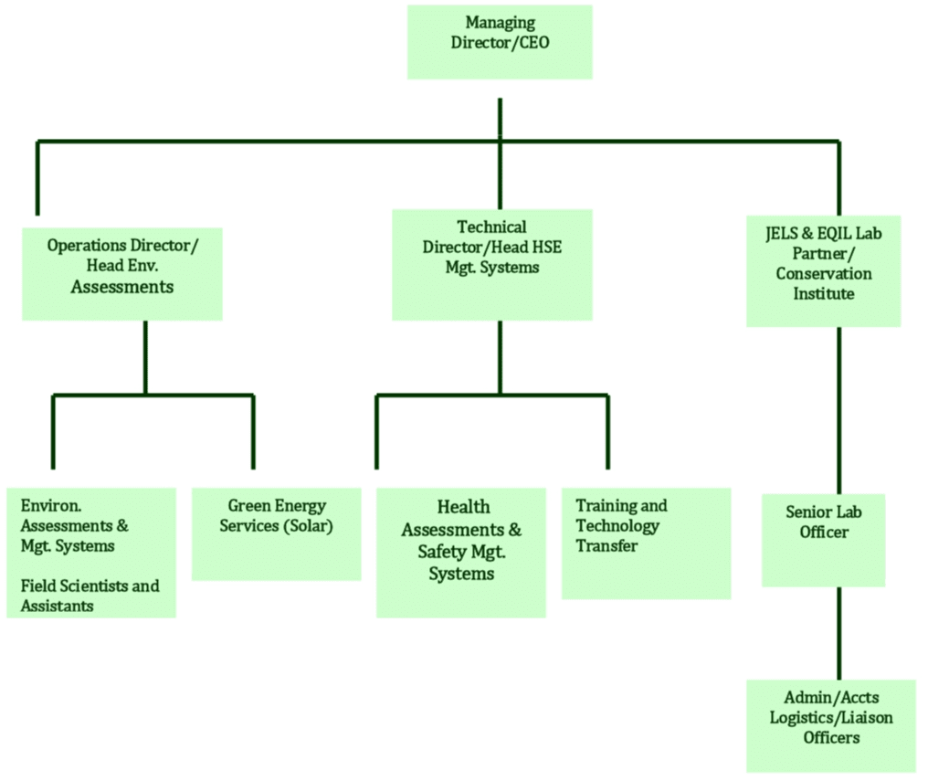 AFEL Organizational Chart